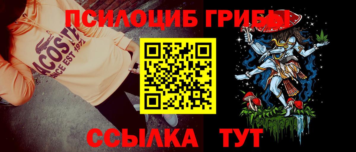 Галлюциногенные грибы GOLDEN TEACHER  где можно купить наркотик  Псилоцибиновые грибы Psilocybe  Вольск  Вход с VPN 